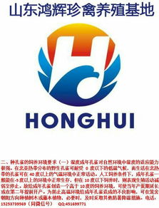 山东鸿辉珍禽养殖场与鸿雀信息科技 珍禽养殖与数字创新的融合典范