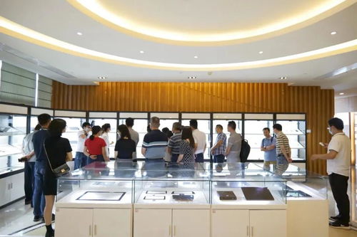 走进宸鸿科技,探索智能制造领域发展